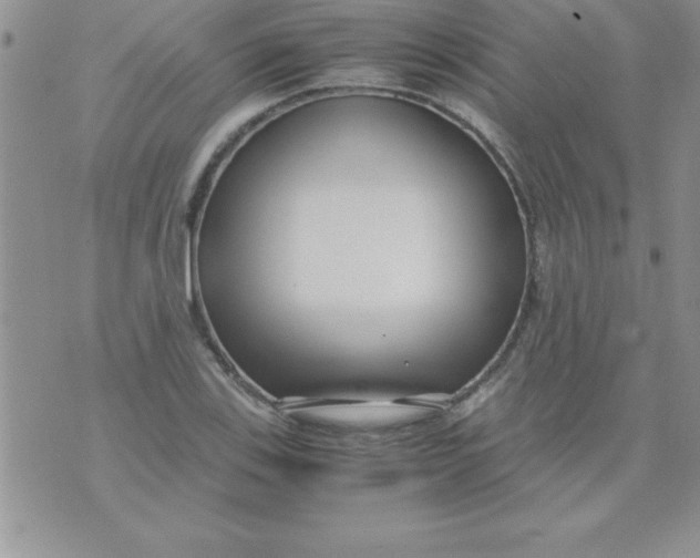 X0000071951123200607282001