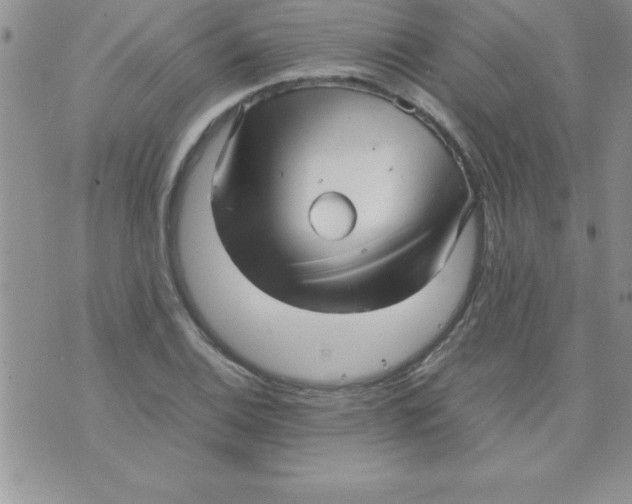 X0000071951124200607282001