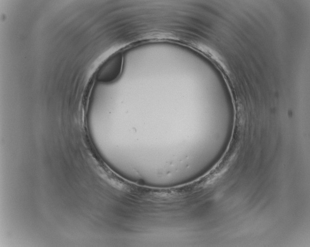 X0000071951125200607282001