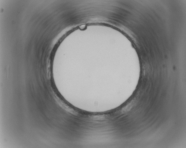 X0000071951126200607282001