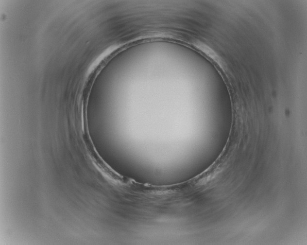 X0000071951127200607282001