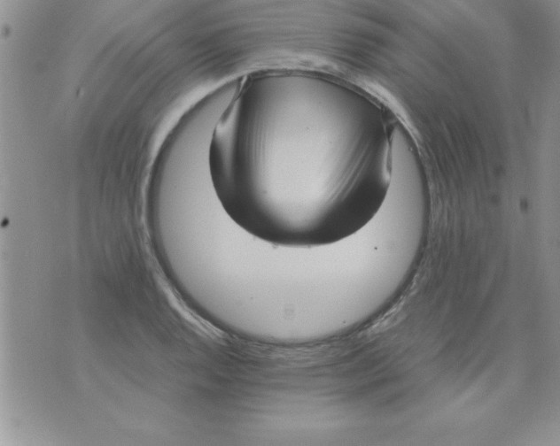 X0000071951128200607282001