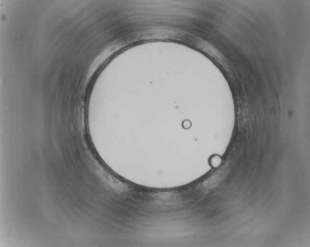 X0000071951130200607282001