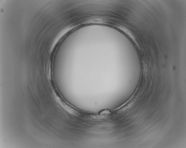 X0000071951131200607282001