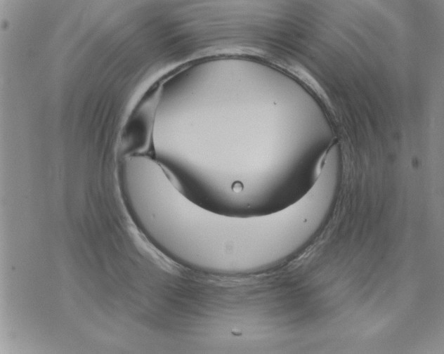 X0000071951132200607282002