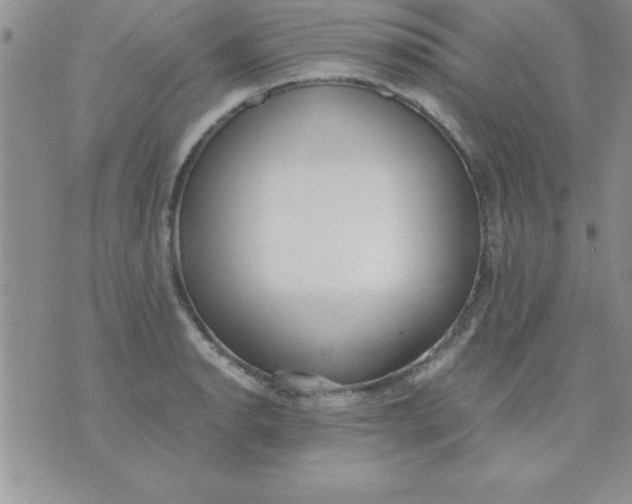 X0000071951134200607282002