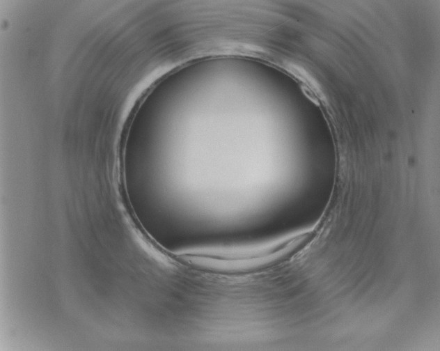 X0000071951136200607282002