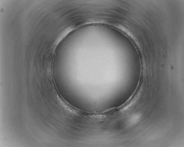 X0000071951137200607282002