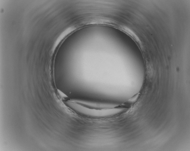 X0000071951138200607282002