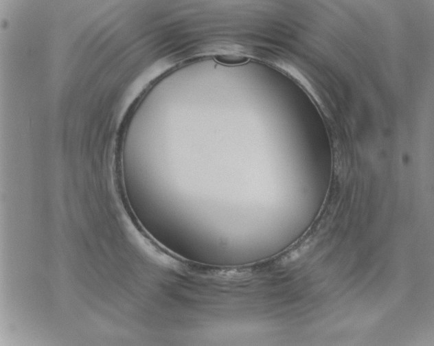 X0000071951139200607282002