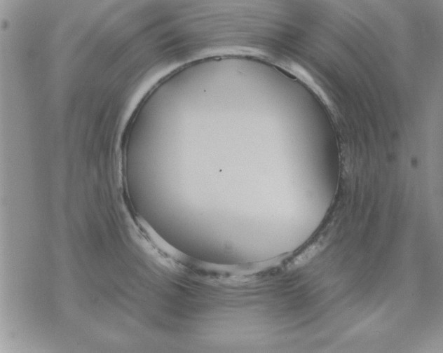 X0000071951140200607282002