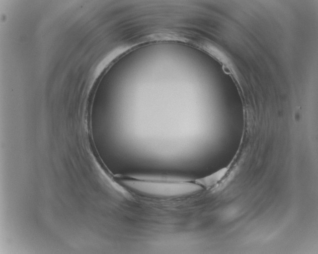 X0000071951141200607282002