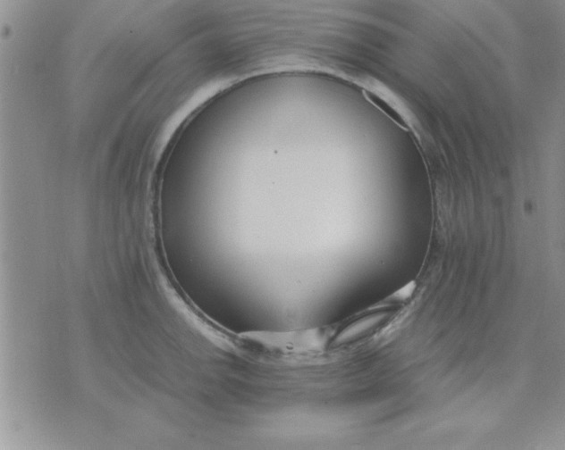 X0000071951142200607282002