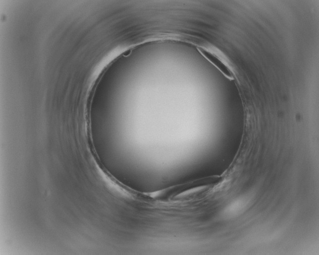 X0000071951143200607282002