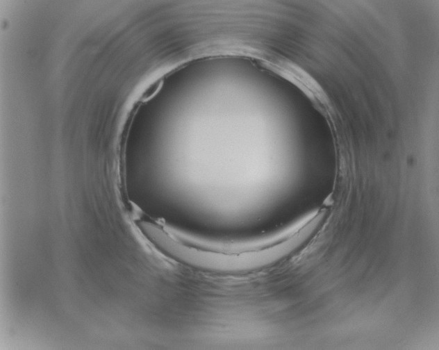 X0000071951144200607282002