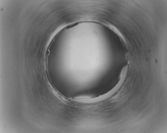 X0000071951148200607282002