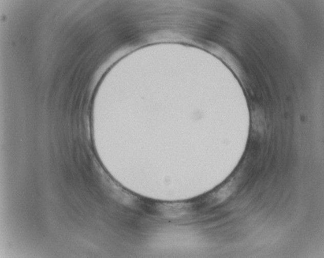 X0000071951150200607282002