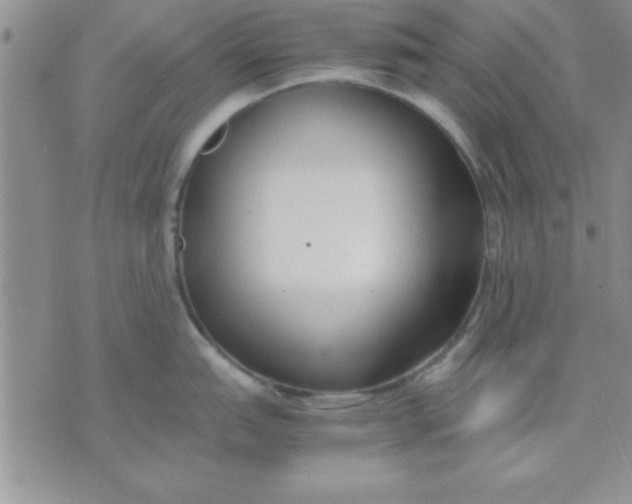 X0000071951151200607282002