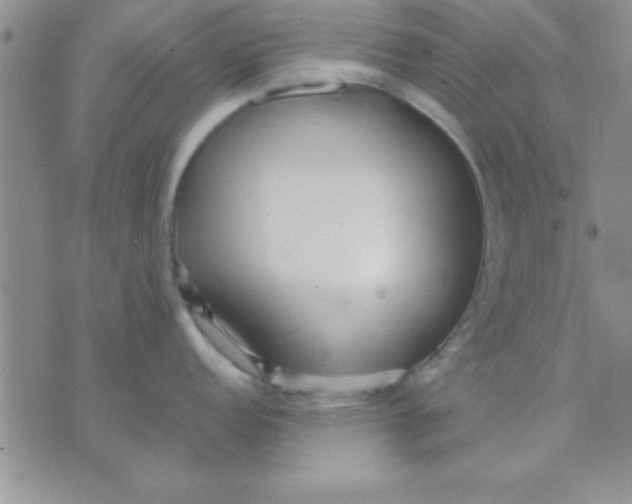 X0000071951152200607282002