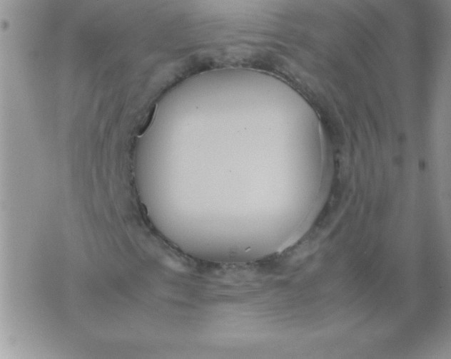 X0000071951153200607282001