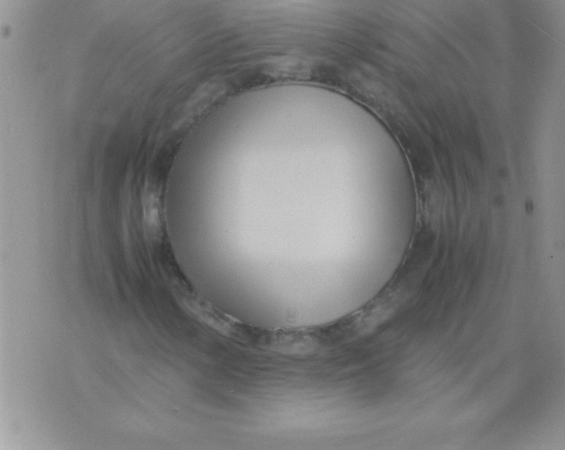 X0000071951154200607282001