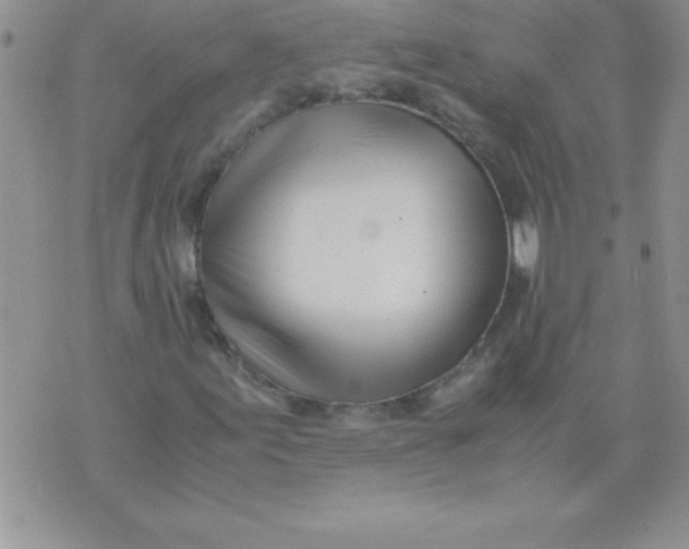 X0000071951155200607282001