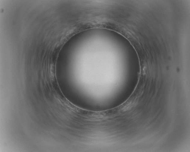 X0000071951156200607282001