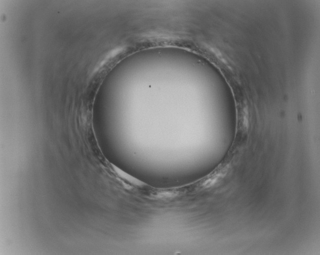 X0000071951157200607282001