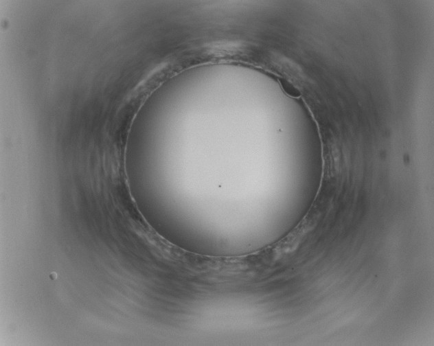 X0000071951158200607282001