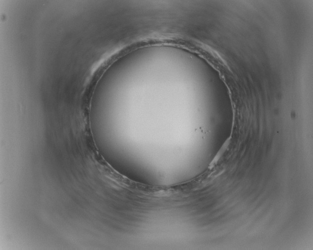 X0000071951160200607282001