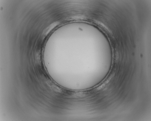 X0000071951162200607282001