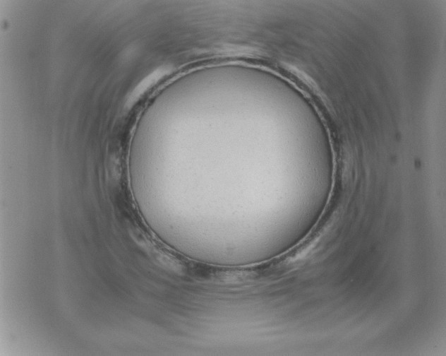 X0000071951163200607282001