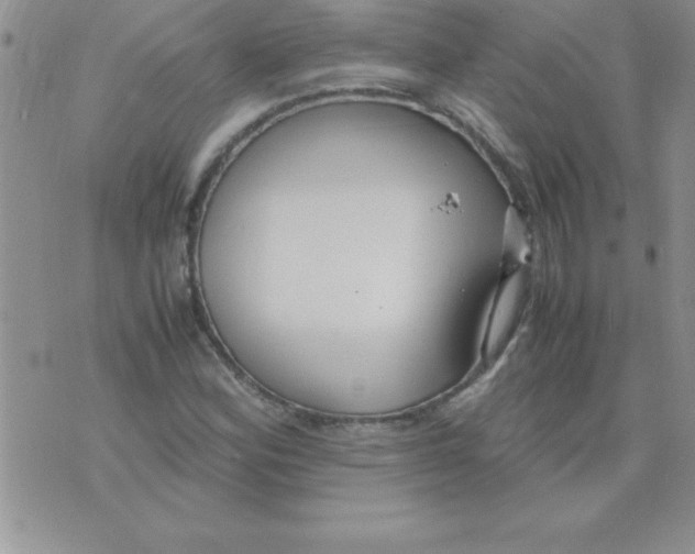 X0000071951164200607282001