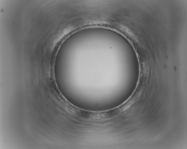 X0000071951165200607282001