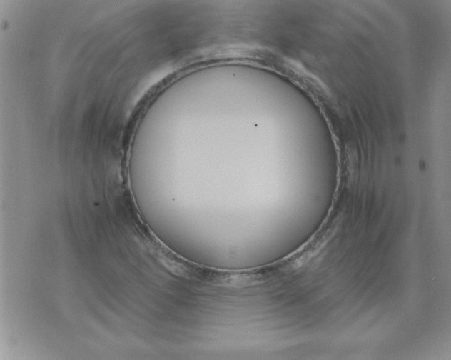 X0000071951166200607282001