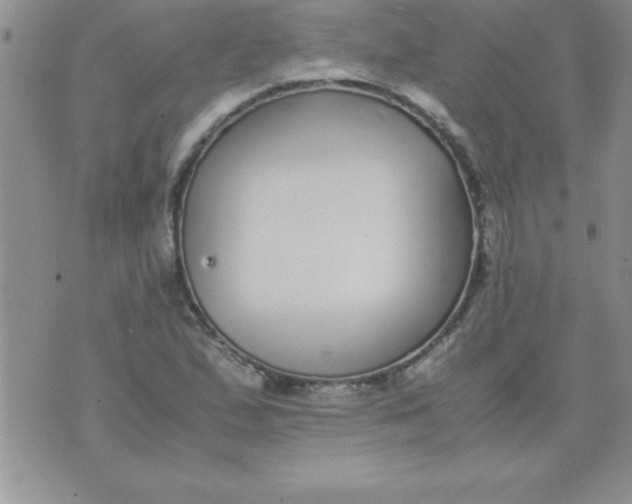 X0000071951167200607282001