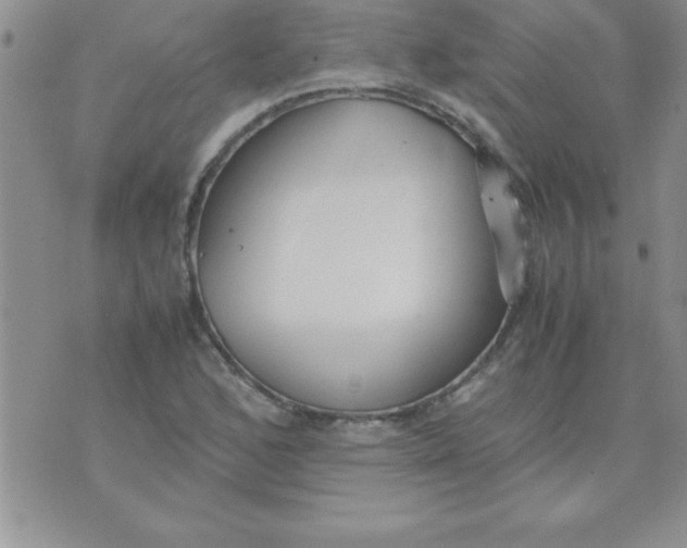 X0000071951168200607282001