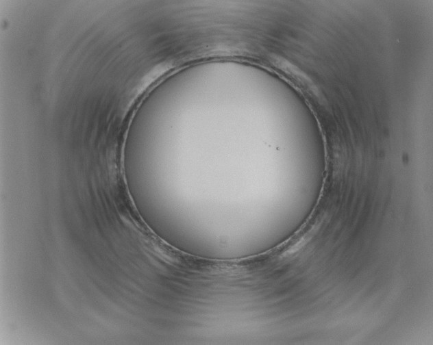 X0000071951170200607282001