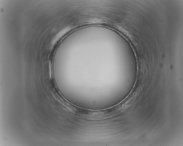 X0000071951171200607282001