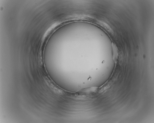 X0000071951172200607282001