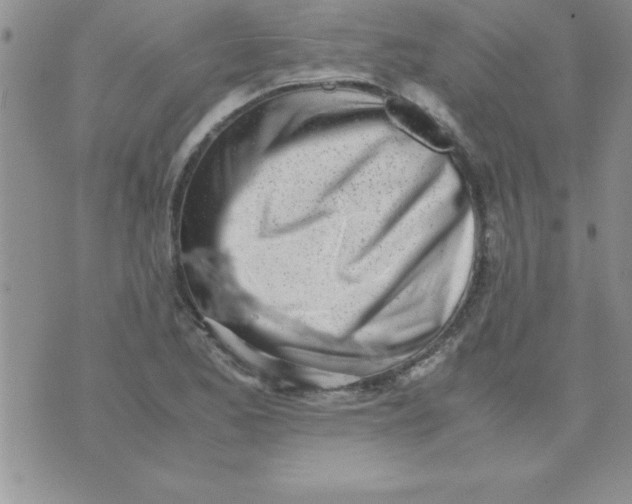 X0000071951173200607282001