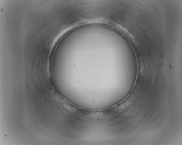 X0000071951174200607282001