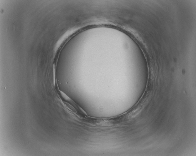 X0000071951175200607282001