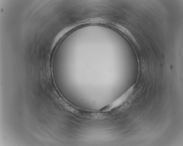 X0000071951176200607282001