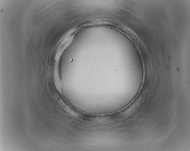 X0000071951177200607282001