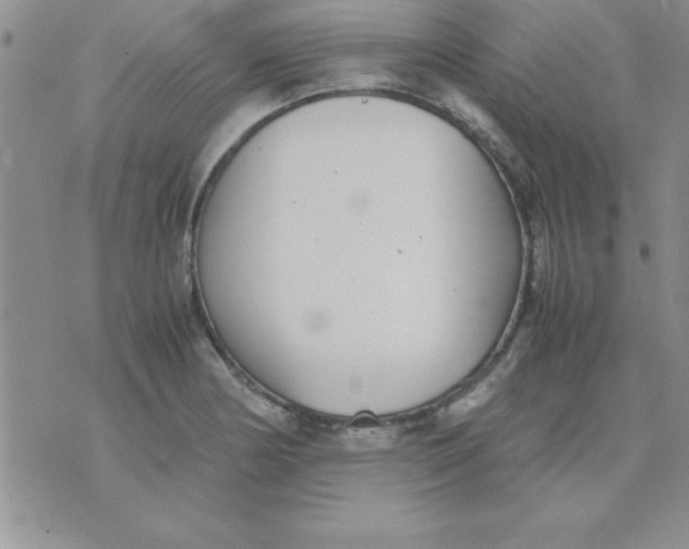 X0000071951178200607282001