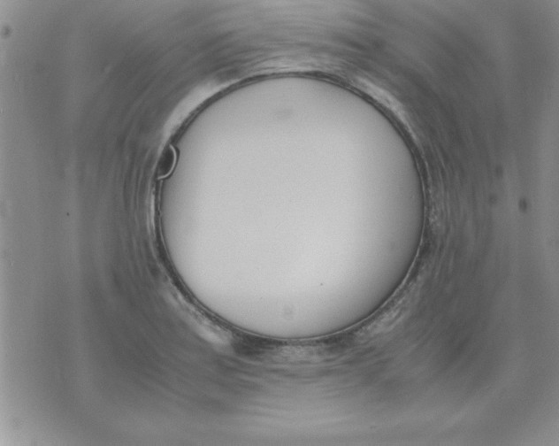 X0000071951179200607282001