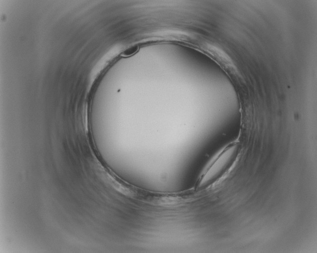 X0000071951180200607282001