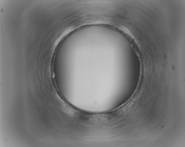 X0000071951181200607282001