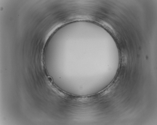 X0000071951182200607282001